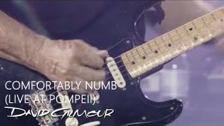 David Gilmour - Comfortably Numb (Live At Pompeii)